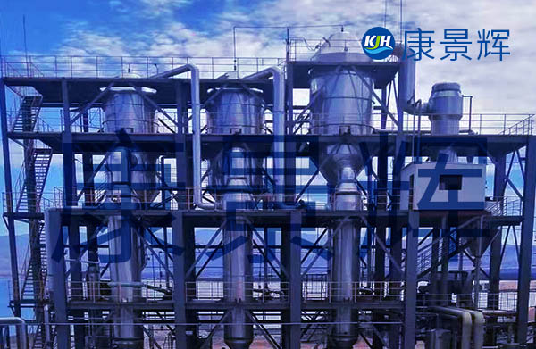 3t/h丁二酸三效蒸發器