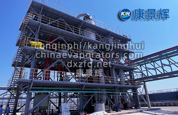 碳酸鋰提鋰雙效MVR蒸發(fā)器