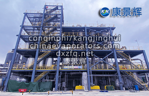 處理量29t/h硫酸鈉、硫酸銨預(yù)處理+蒸發(fā)分鹽+母液干化系統(tǒng)