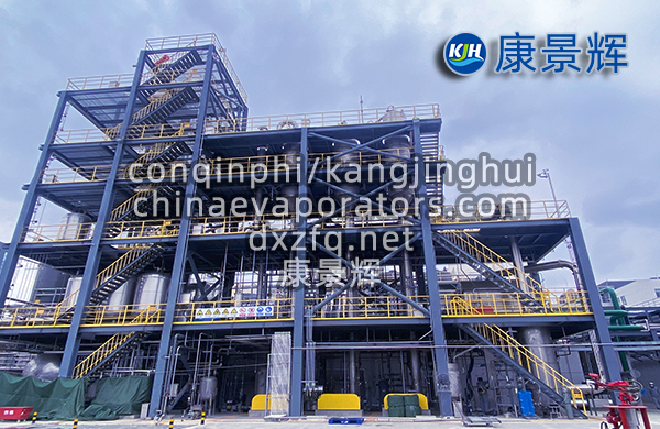 處理量29t/h硫酸鈉、硫酸銨預(yù)處理+蒸發(fā)分鹽+母液干化系統(tǒng)