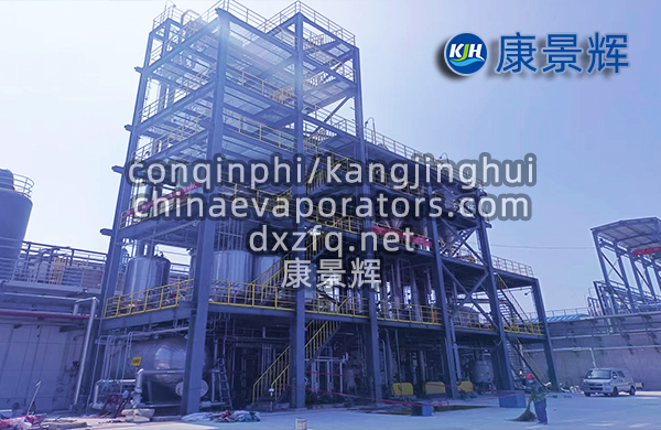 處理量29t/h硫酸鈉、硫酸銨預(yù)處理+蒸發(fā)分鹽+母液干化系統(tǒng)