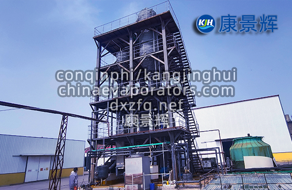 氯化鈉MVR強(qiáng)制循環(huán)蒸發(fā)器