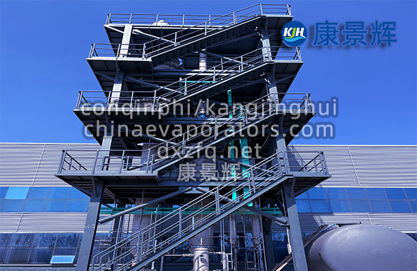 3t/h氯化鈉雜鹽單效MVR蒸發器