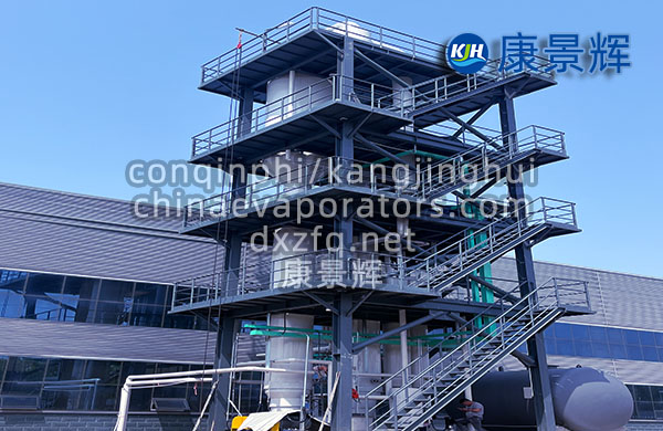 3t/h氯化鈉雜鹽單效MVR蒸發器