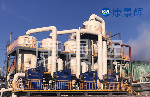 20T/H管式升膜多效蒸發器